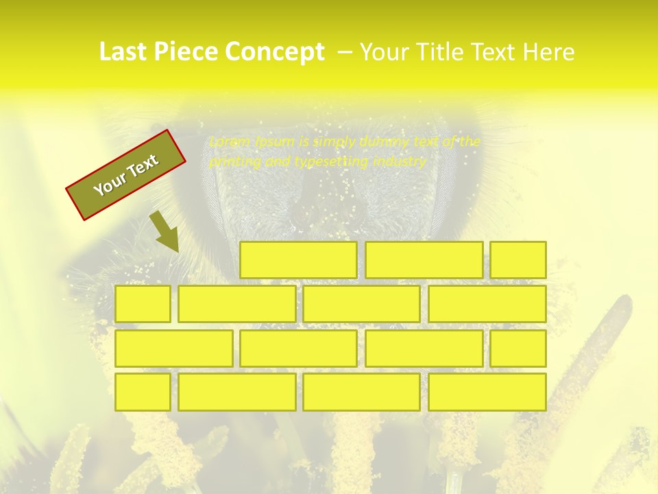Arthropods Commonwealth Face PowerPoint Template