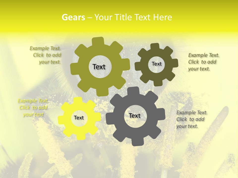 Arthropods Commonwealth Face PowerPoint Template