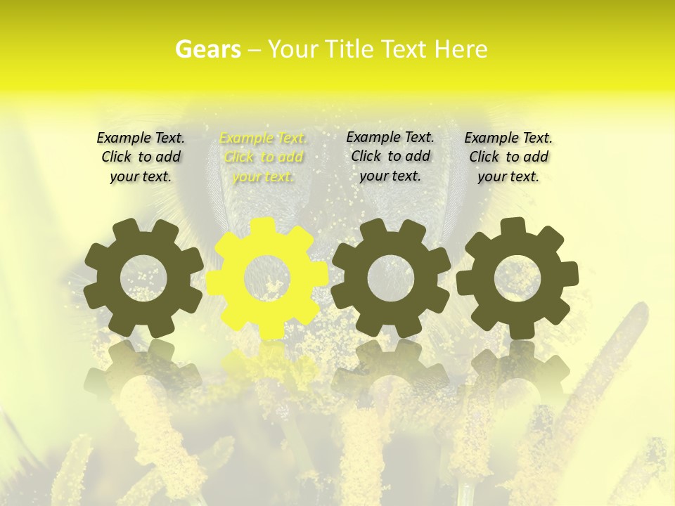 Arthropods Commonwealth Face PowerPoint Template