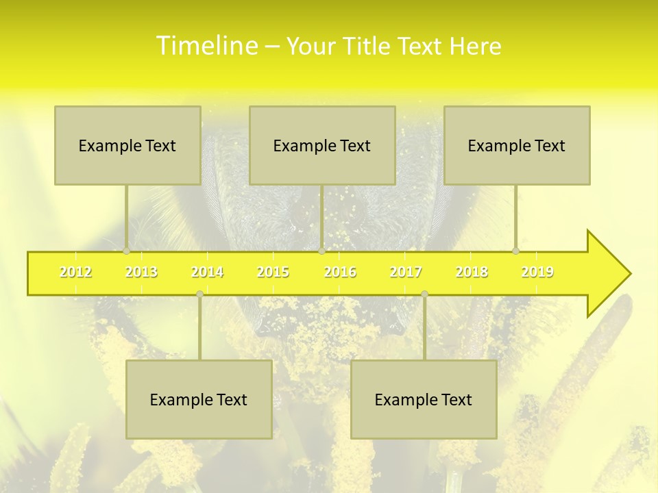 Arthropods Commonwealth Face PowerPoint Template