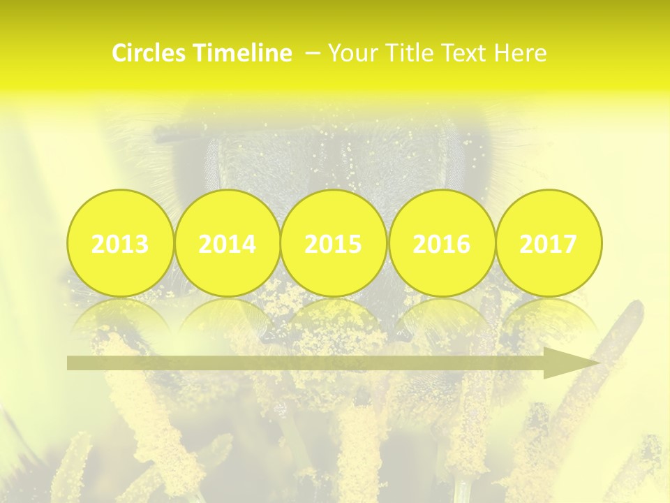 Arthropods Commonwealth Face PowerPoint Template