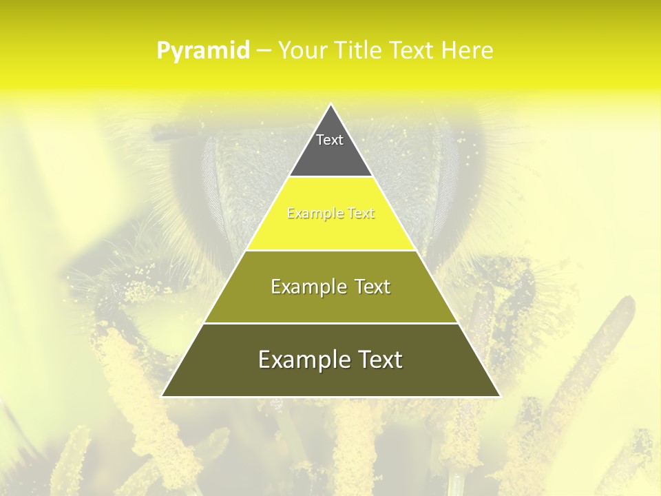 Arthropods Commonwealth Face PowerPoint Template