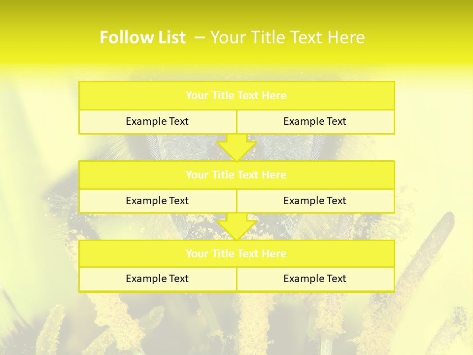 Arthropods Commonwealth Face PowerPoint Template