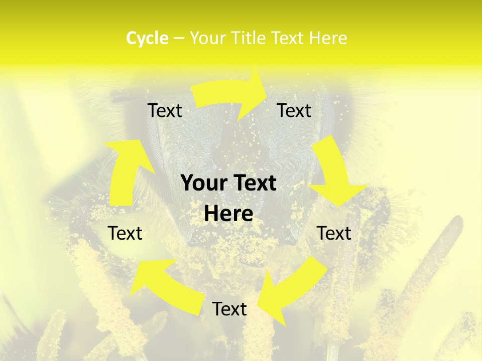 Arthropods Commonwealth Face PowerPoint Template