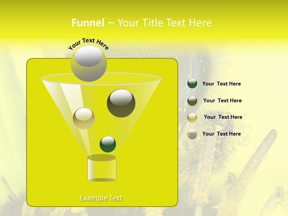 Arthropods Commonwealth Face PowerPoint Template