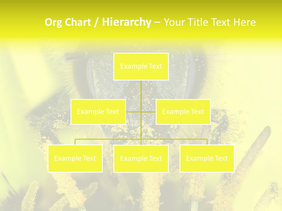 Arthropods Commonwealth Face PowerPoint Template