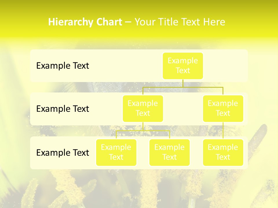 Arthropods Commonwealth Face PowerPoint Template