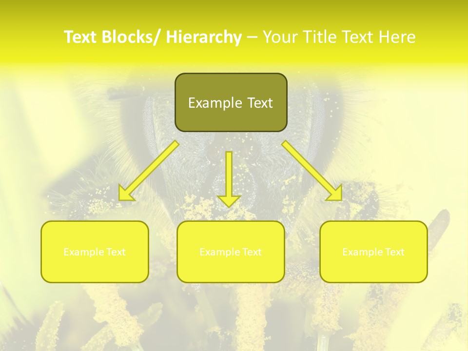 Arthropods Commonwealth Face PowerPoint Template