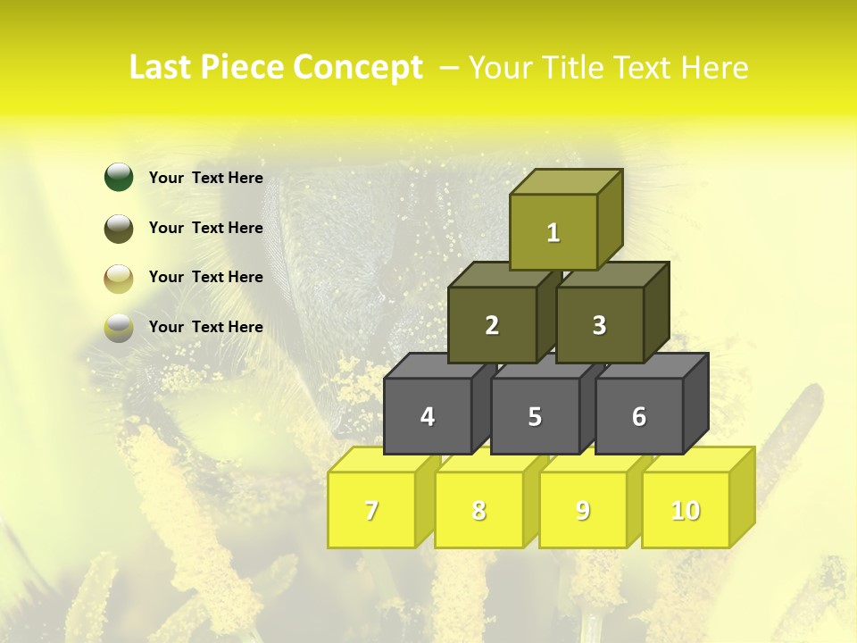 Arthropods Commonwealth Face PowerPoint Template