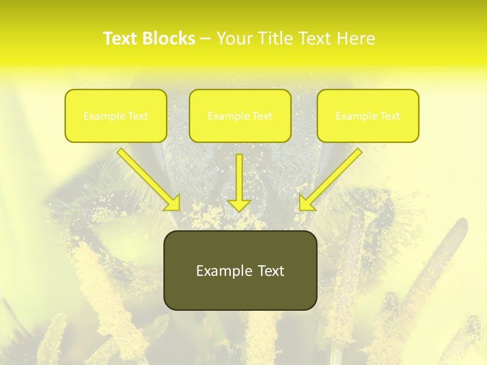 Arthropods Commonwealth Face PowerPoint Template