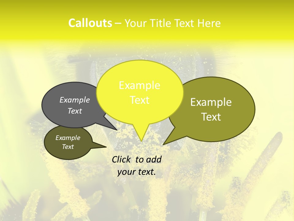Arthropods Commonwealth Face PowerPoint Template