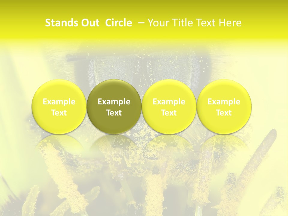 Arthropods Commonwealth Face PowerPoint Template