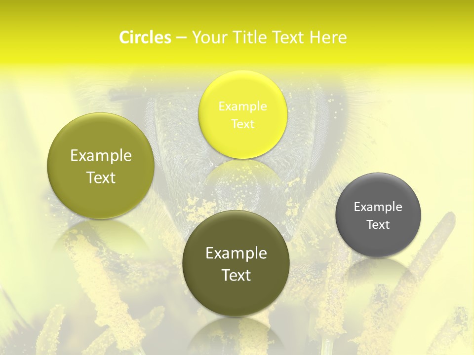 Arthropods Commonwealth Face PowerPoint Template