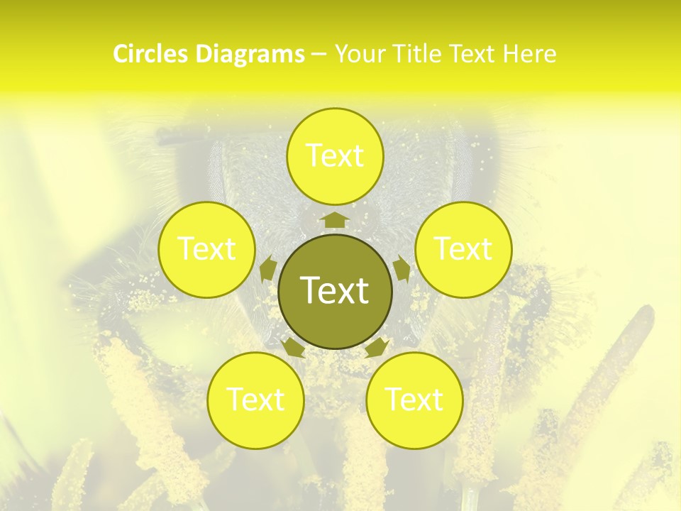 Arthropods Commonwealth Face PowerPoint Template