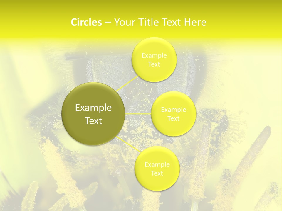Arthropods Commonwealth Face PowerPoint Template