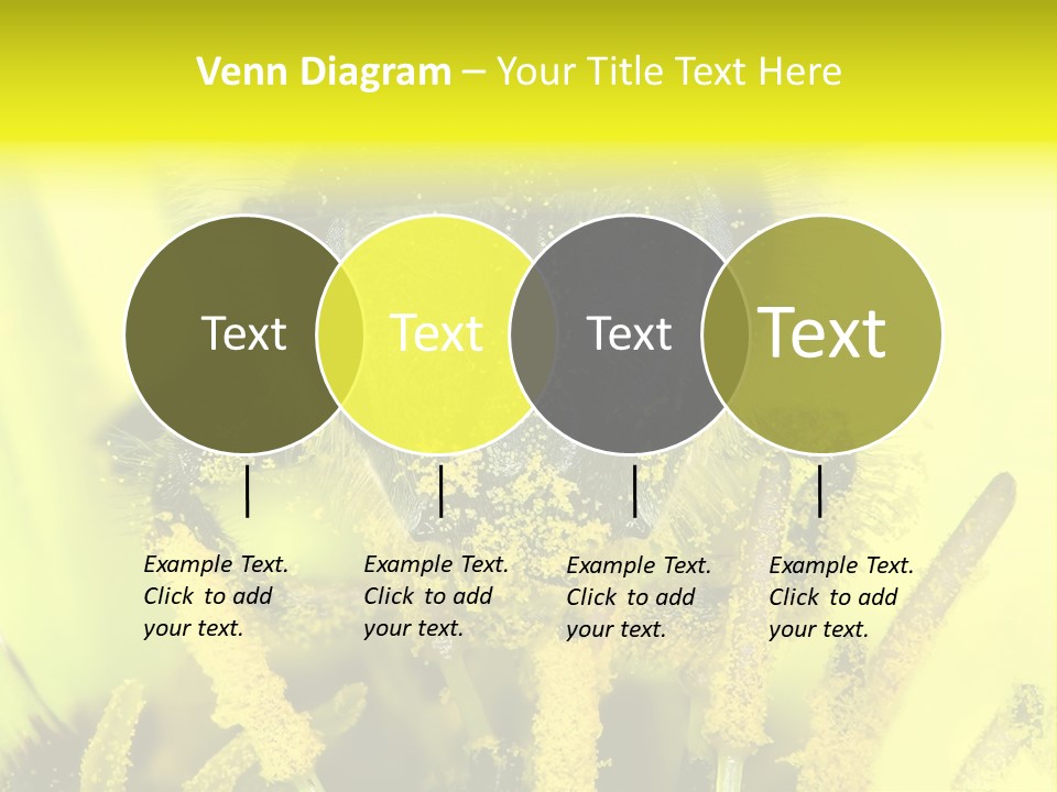 Arthropods Commonwealth Face PowerPoint Template