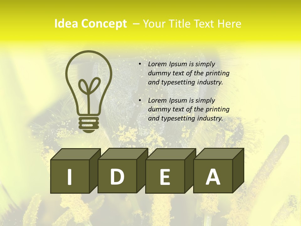 Arthropods Commonwealth Face PowerPoint Template