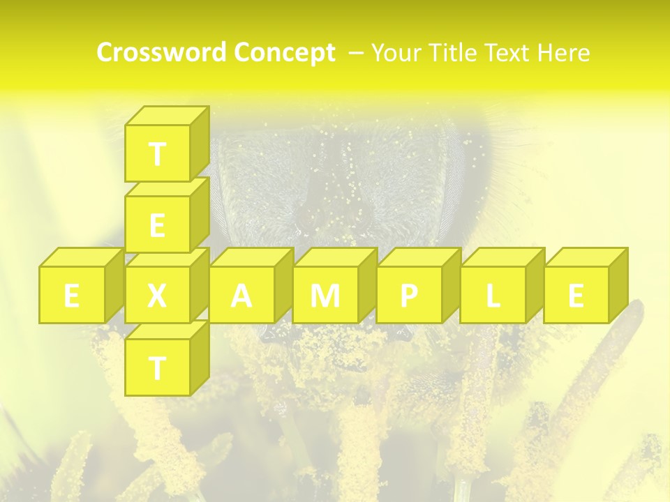 Arthropods Commonwealth Face PowerPoint Template