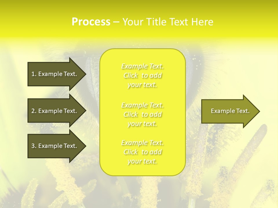 Arthropods Commonwealth Face PowerPoint Template