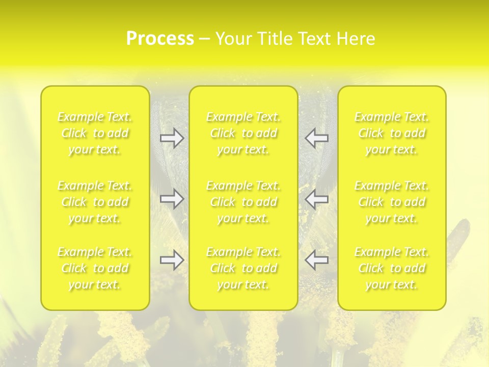 Arthropods Commonwealth Face PowerPoint Template