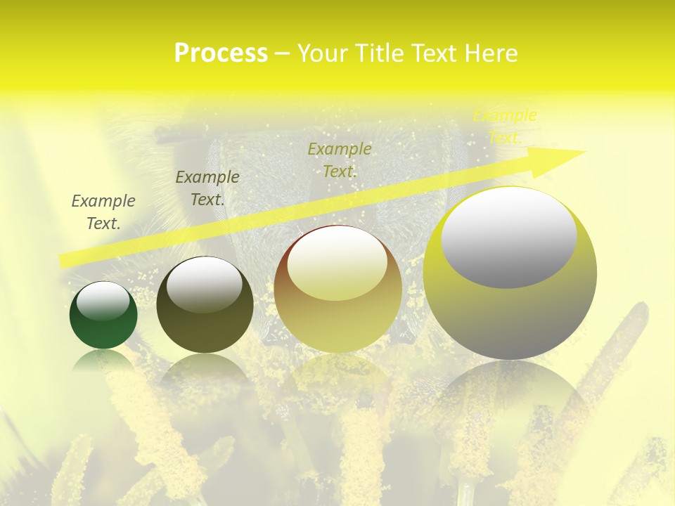 Arthropods Commonwealth Face PowerPoint Template