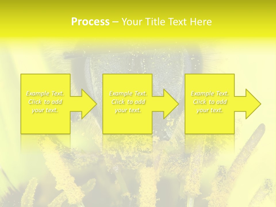 Arthropods Commonwealth Face PowerPoint Template