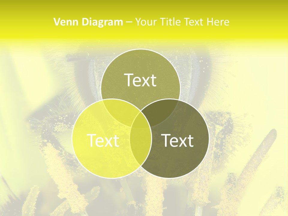 Arthropods Commonwealth Face PowerPoint Template