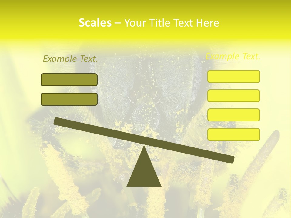 Arthropods Commonwealth Face PowerPoint Template