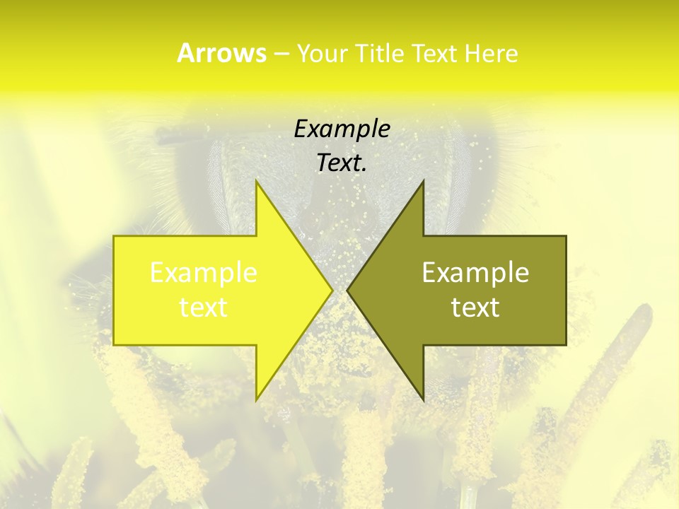 Arthropods Commonwealth Face PowerPoint Template