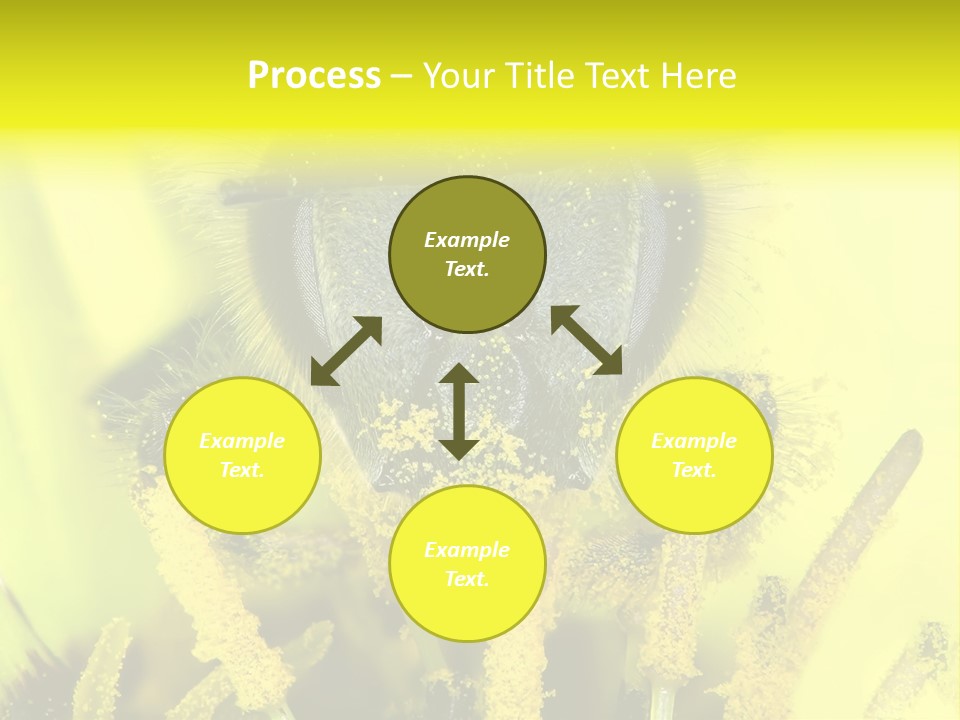 Arthropods Commonwealth Face PowerPoint Template