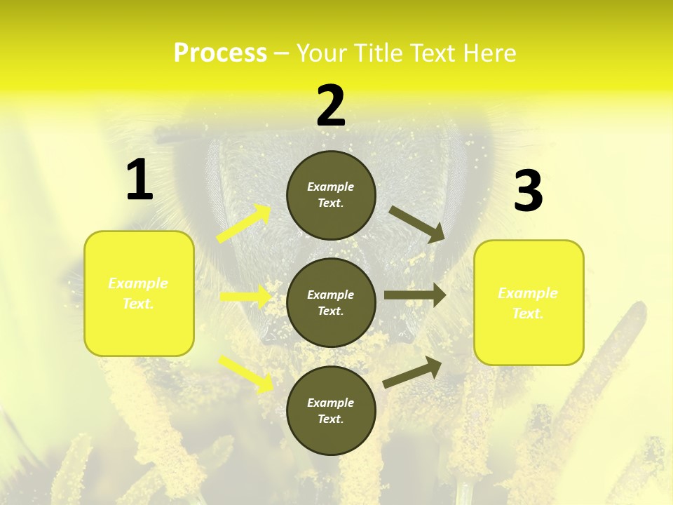 Arthropods Commonwealth Face PowerPoint Template