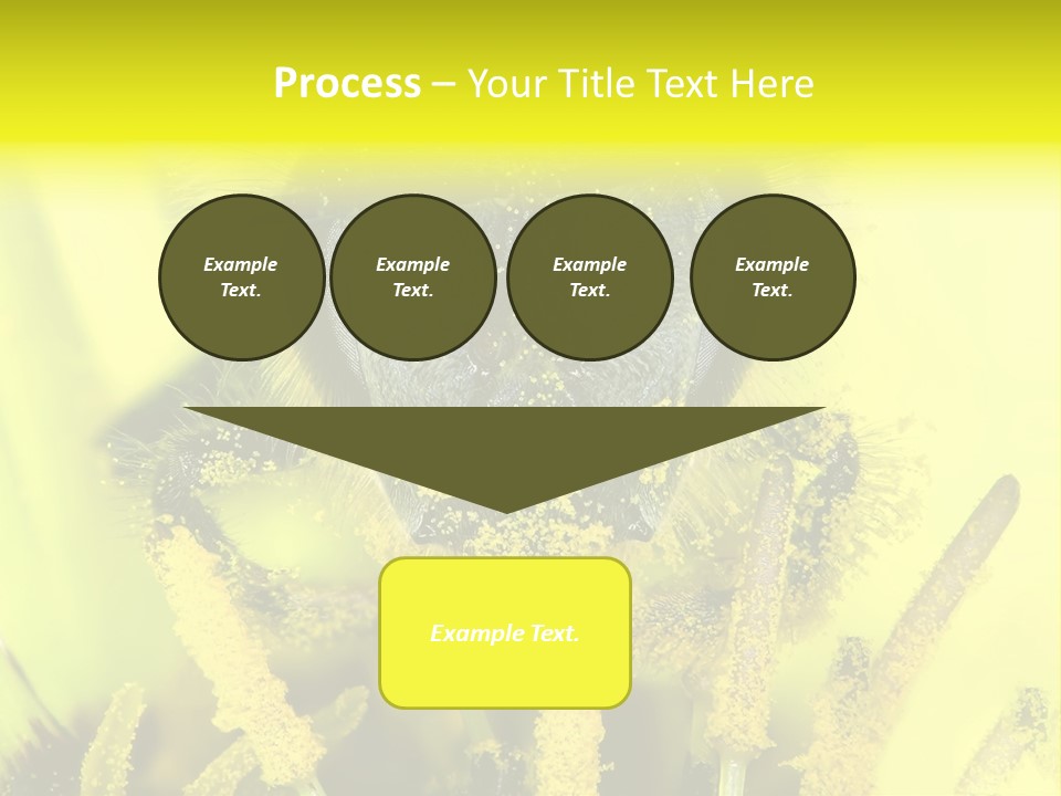 Arthropods Commonwealth Face PowerPoint Template