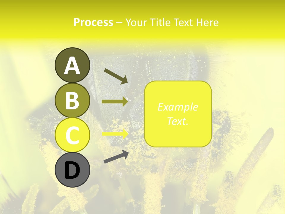 Arthropods Commonwealth Face PowerPoint Template