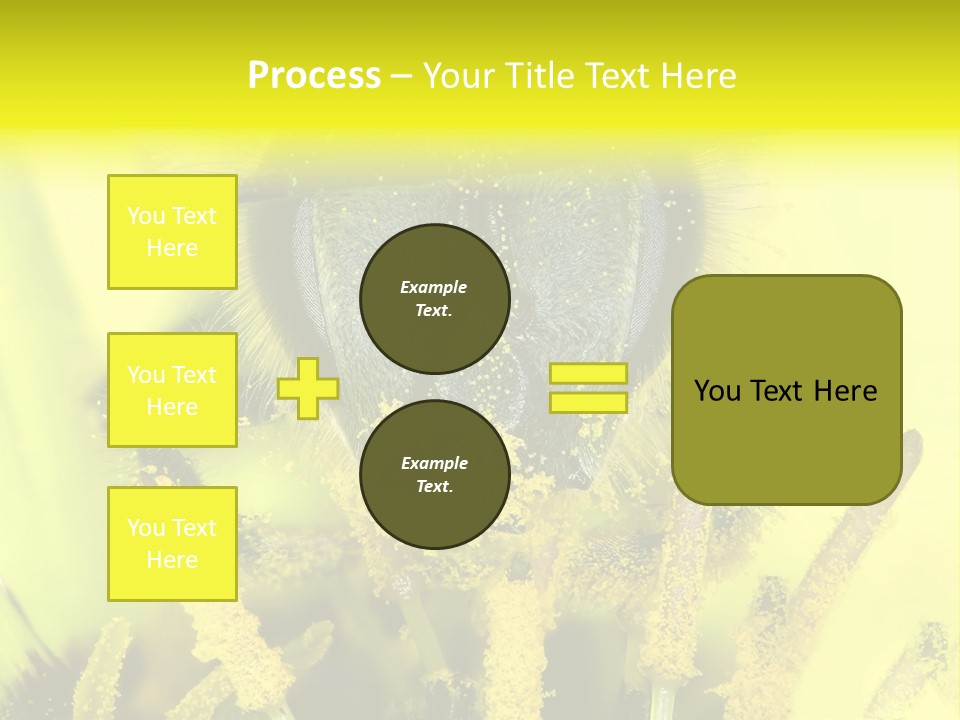 Arthropods Commonwealth Face PowerPoint Template