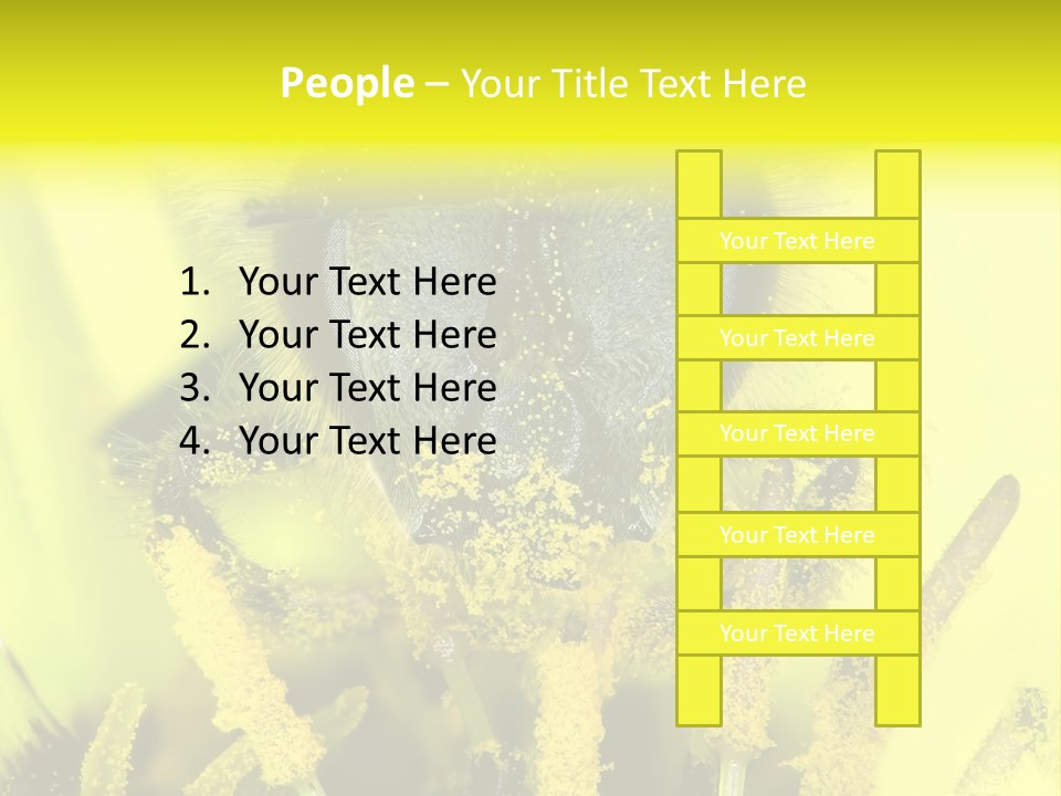 Arthropods Commonwealth Face PowerPoint Template