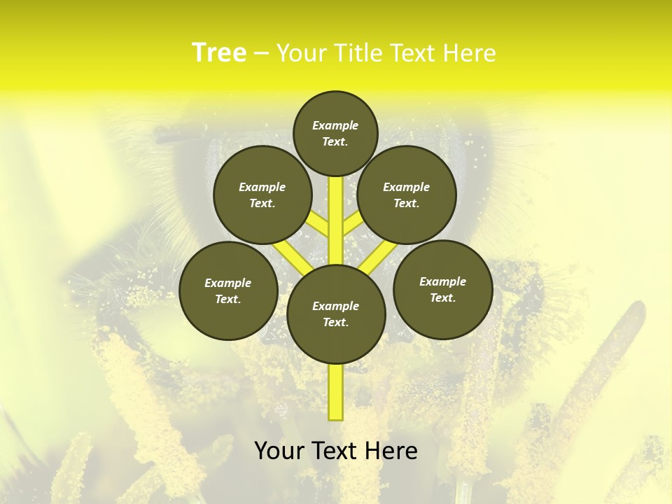Arthropods Commonwealth Face PowerPoint Template