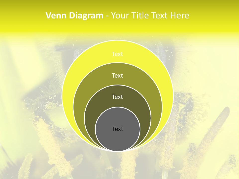 Arthropods Commonwealth Face PowerPoint Template