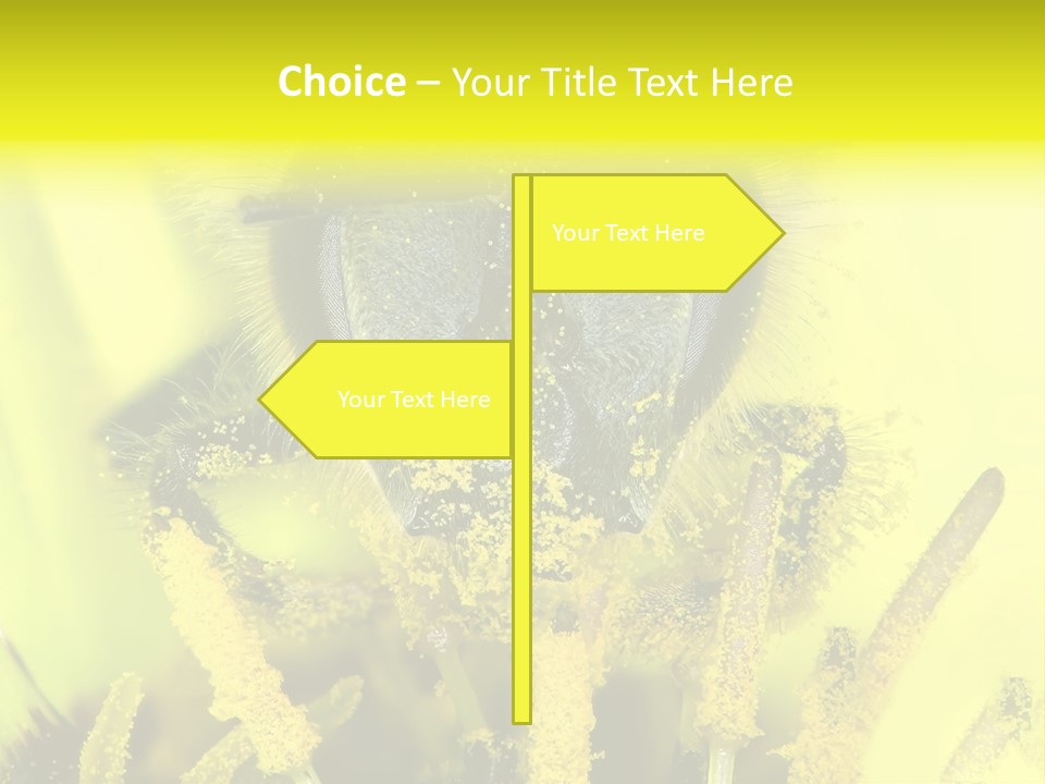 Arthropods Commonwealth Face PowerPoint Template
