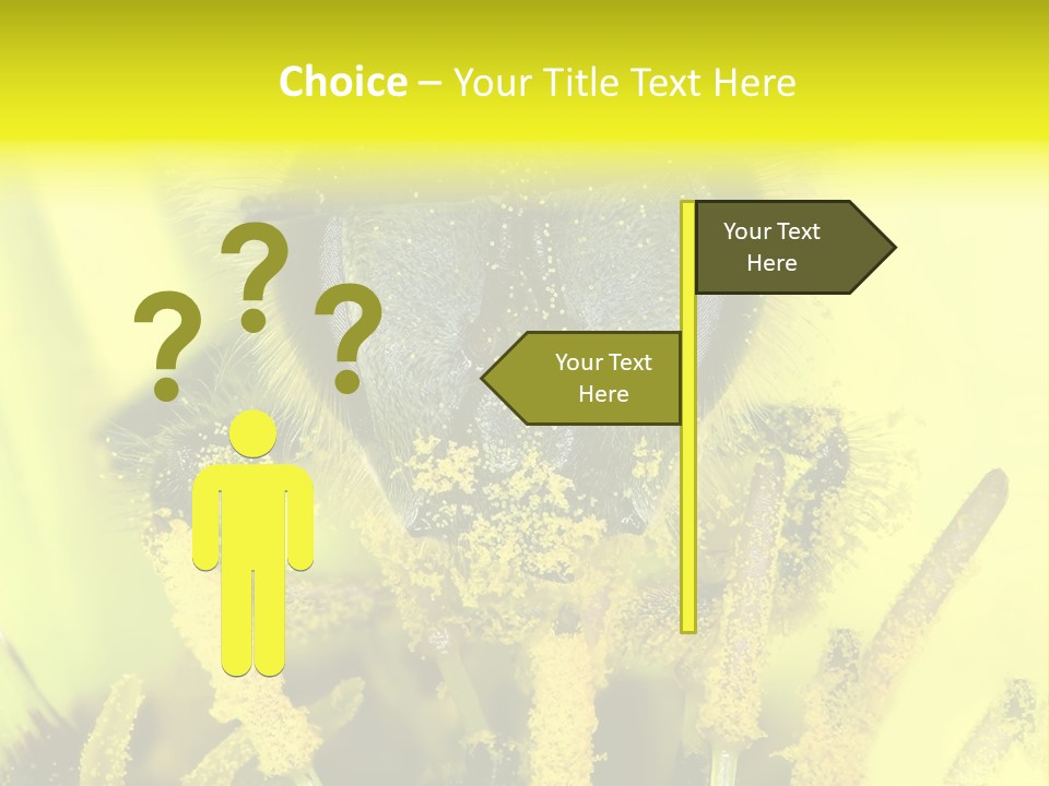 Arthropods Commonwealth Face PowerPoint Template