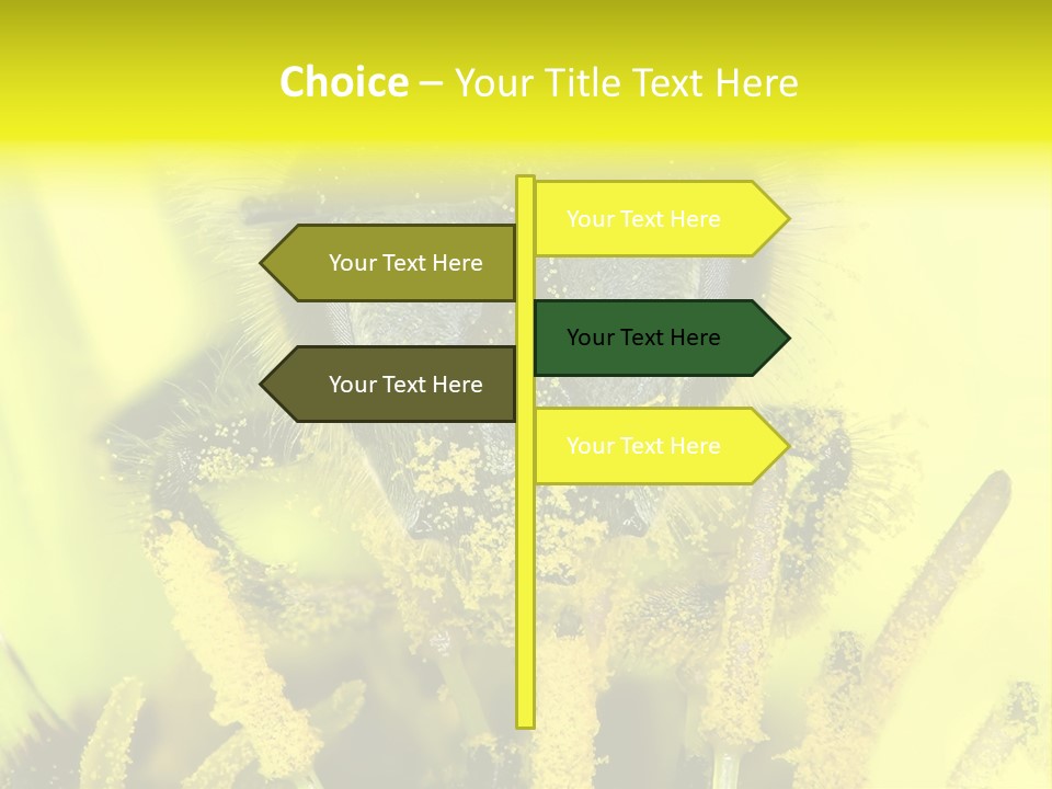 Arthropods Commonwealth Face PowerPoint Template