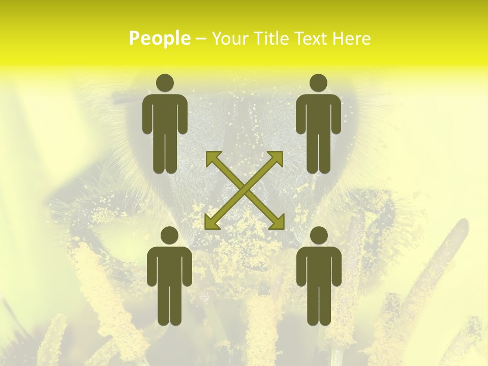 Arthropods Commonwealth Face PowerPoint Template