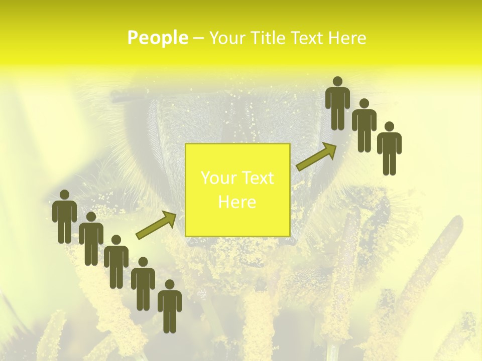 Arthropods Commonwealth Face PowerPoint Template