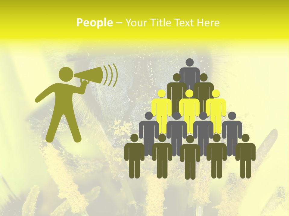 Arthropods Commonwealth Face PowerPoint Template