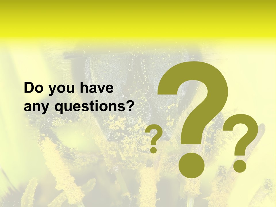 Arthropods Commonwealth Face PowerPoint Template