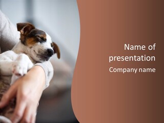 Relaxing Owner Patient PowerPoint Template