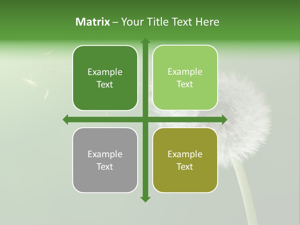 Wind Time Backgrounds PowerPoint Template