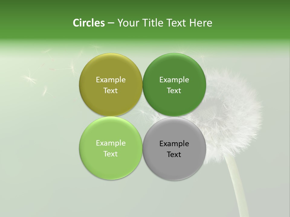 Wind Time Backgrounds PowerPoint Template