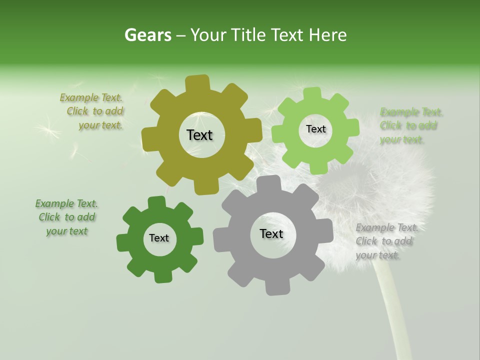 Wind Time Backgrounds PowerPoint Template