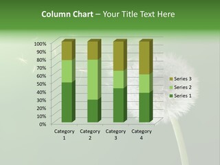 Wind Time Backgrounds PowerPoint Template