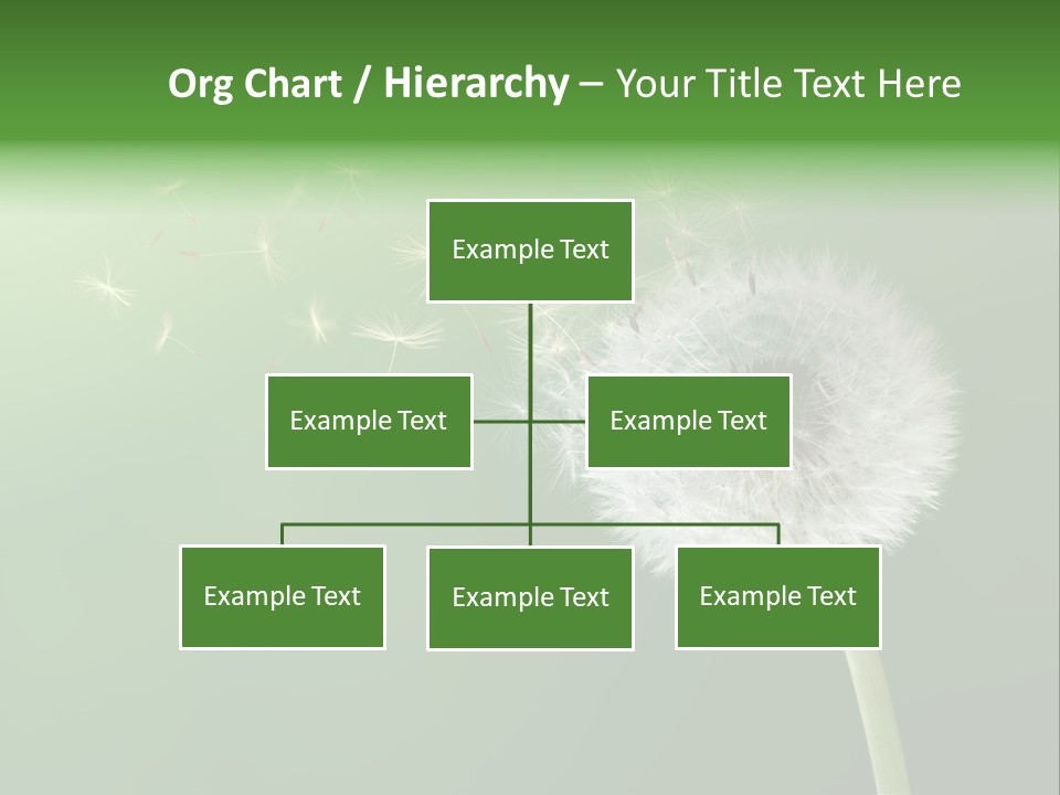 Wind Time Backgrounds PowerPoint Template